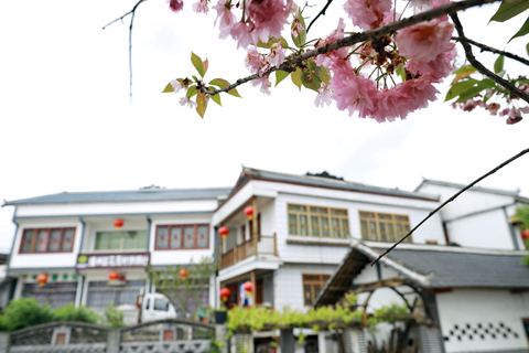 ◎ 這是本月十三日拍攝的花茂村新貌。(新華社記者劉續 攝)