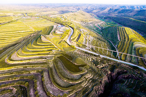 ◎ 圖為無人機拍攝的彭陽段戰國秦長城遺址。(中新社發 王宇 攝)