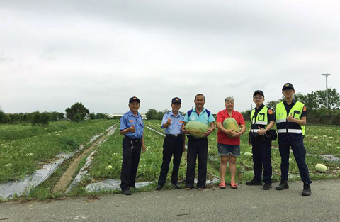 護瓜專案 ◎ 苗栗縣後龍地區西瓜開始盛產,但日前連續多天的豪大雨,造成西瓜耗損率極高,為避免瓜農辛苦栽種西瓜,落入宵小手中,竹南警分局已則令產瓜區的派出所成立「護瓜專案」保護瓜農財產。