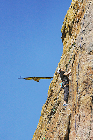 ◎ 西藏自治區攀岩自然岩壁公開賽昨日完賽,圖為選手梅渝坪在攀登岩壁。(新華社記者 晉美多吉 攝)