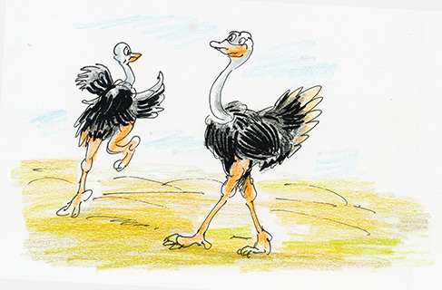 曹長雄老師 謎語圖