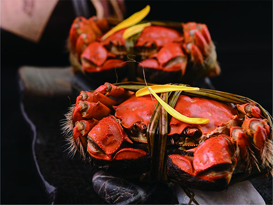 ◎ 「清蒸原隻大閘蟹」精選高品質大閘蟹。