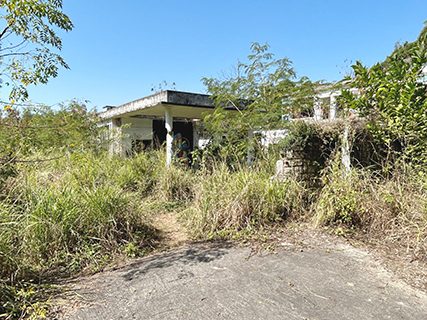 荒草的後面,就是廢棄的傅聲故居