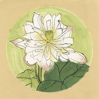 白荷 濠江中學附屬英才學校 四年級 孫逸匡