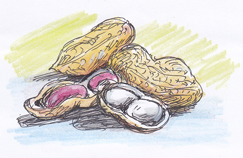 曹長雄老師 謎語圖