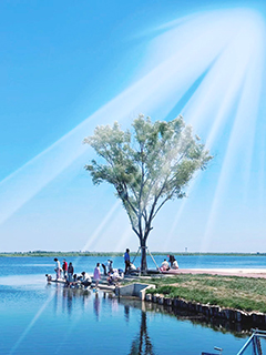 白洋淀親水平台