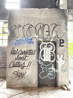 有注意到門後的綠葉嗎?