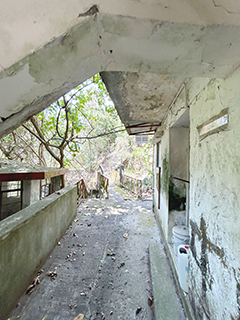 這裡可以通往山路