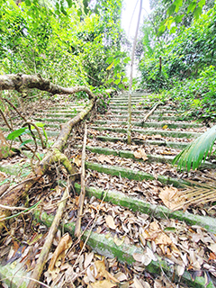 一路延綿而上的石階