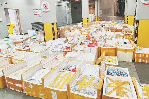 ◎ 港珠澳大橋海關查獲一起跨境貨車走私七點五六噸凍品出境案。