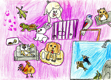 動物園 福建學校 三年級 陳志勇