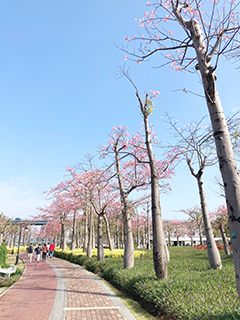 引導線伸向遠方構圖