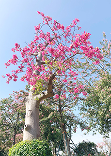 焦點放在三分一處