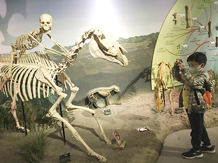 ◎ 分享旅遊照片