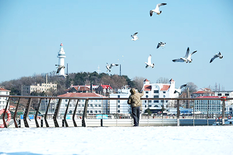 1月12日,山東煙台,遊客在雪後海濱拍照留念。(曲正揚 攝)