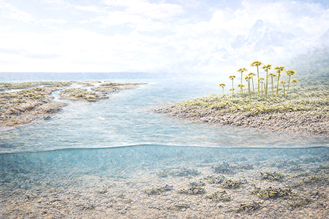 本項研究的早期植物在陸地擴張的想象圖。(趙明宇團隊 供圖)