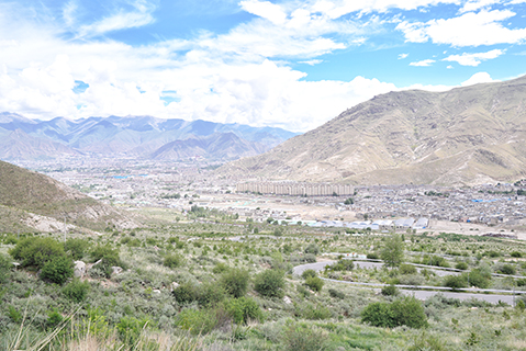 2025年7月16日,從西藏拉薩娘熱溝,俯瞰南北山的綠色植被環抱拉薩城區。(中新社記者 張祥毅 攝)