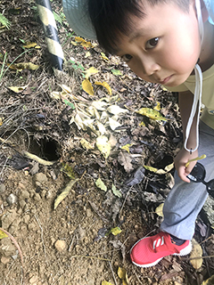 ◎ 發現穿山甲洞